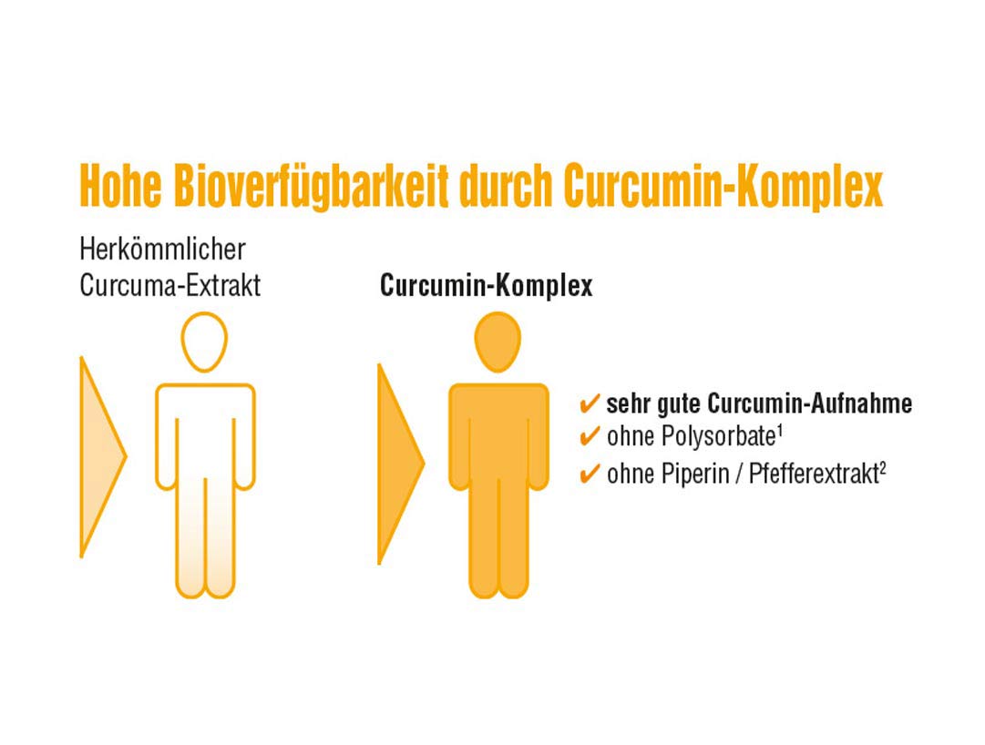 Schema zur besseren Aufnahme von Curcumin aus dem Curcumin-Komplex